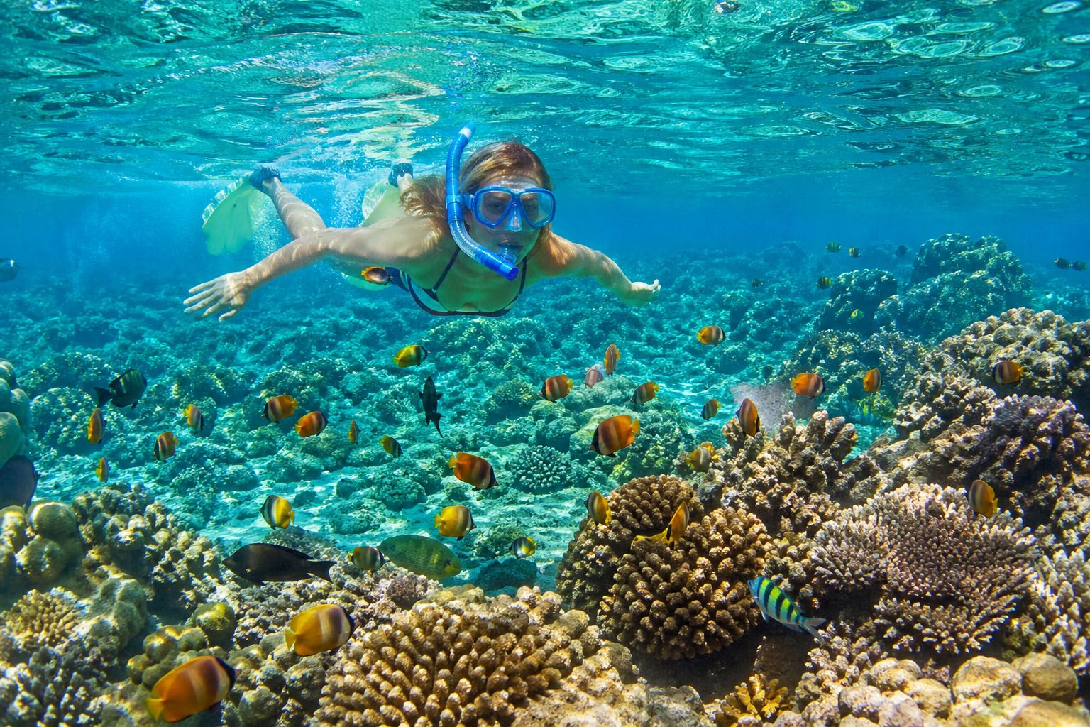 Snorkeling coral reef Maldives tour package from Ahmedabad
