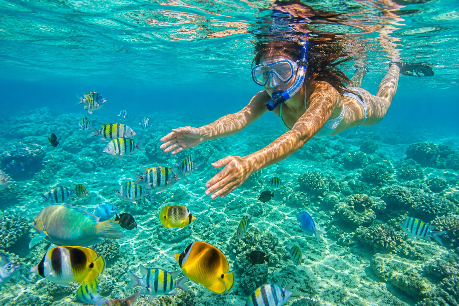 Maldives trip expenses for couple - snorkelling with tropical fish in turquoise lagoon