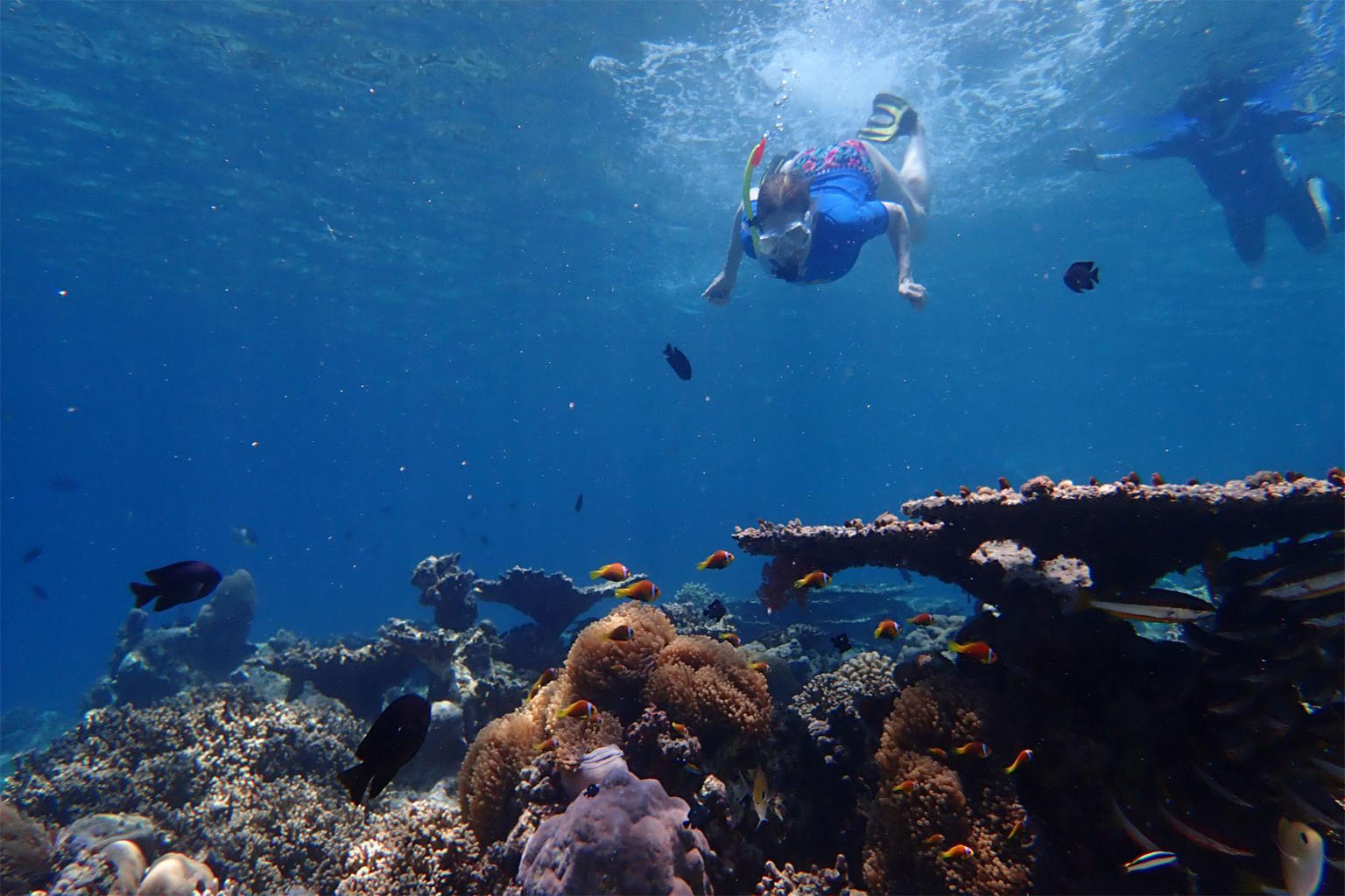 Snorkelling and water activities – Maldives tour from Kerala itinerary